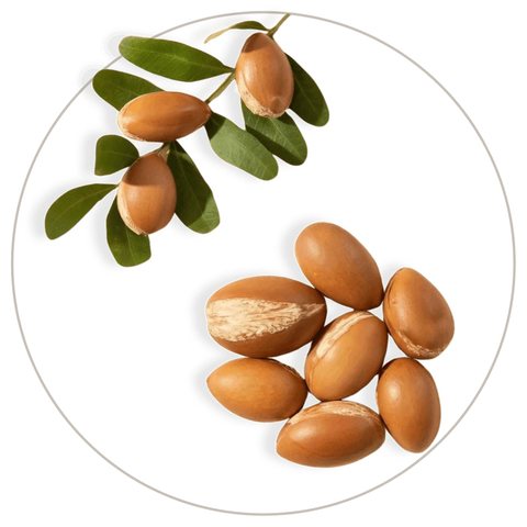 Argan