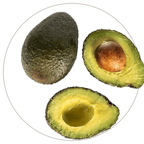 Avocat