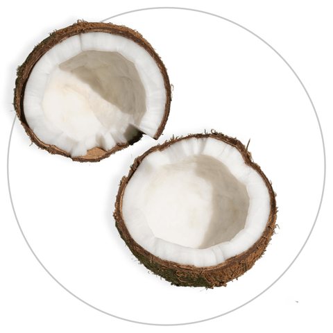 Huile de coco