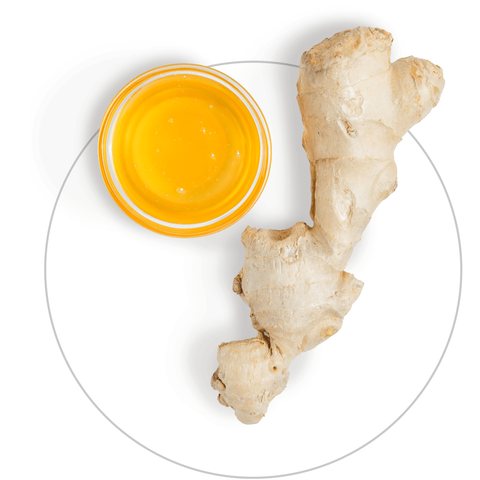 Curcuma