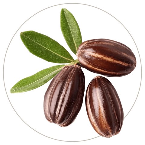 Jojoba